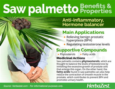 While it is not confirmed if <strong>saw palmetto</strong> needs to be <strong>taken</strong> with food. . Best time of day to take saw palmetto